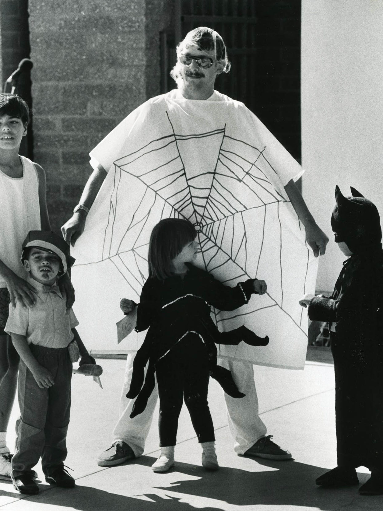 Halloween spiders